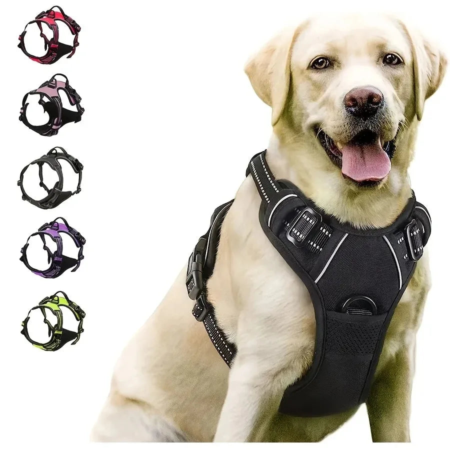 Complete Leather Dog Harness, Collar & Leash Set