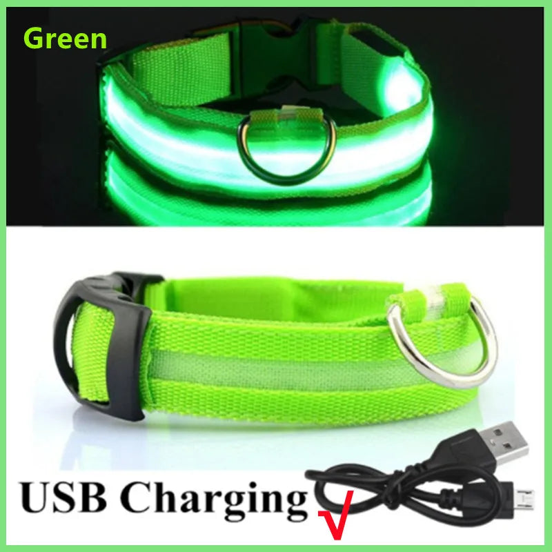USB Rechargeable LED Glowing Dog Collar for Night Safety