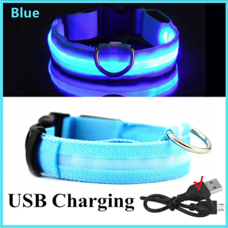 USB Rechargeable LED Glowing Dog Collar for Night Safety