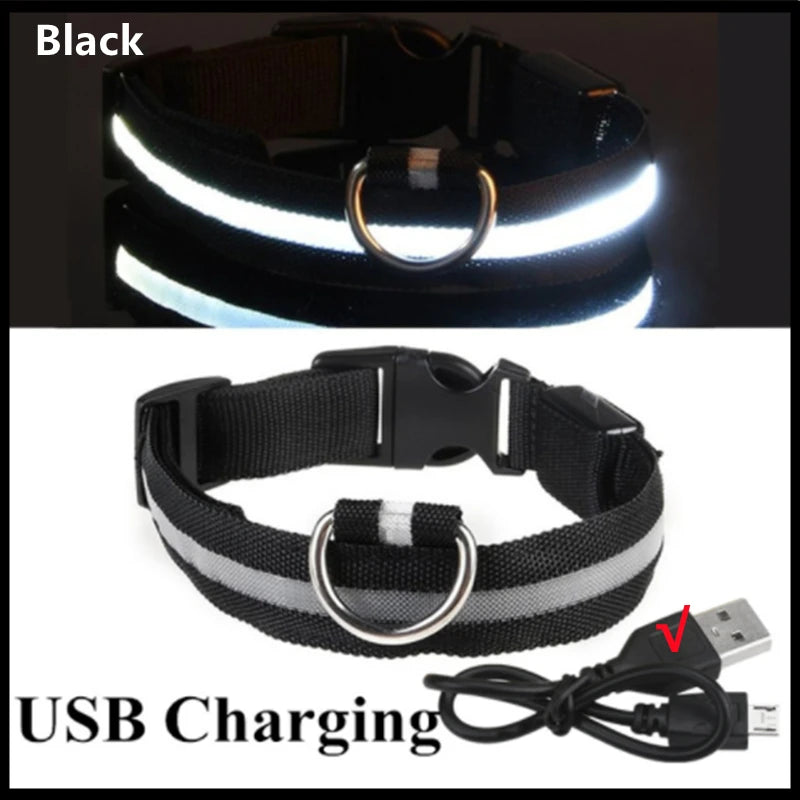 USB Rechargeable LED Glowing Dog Collar for Night Safety