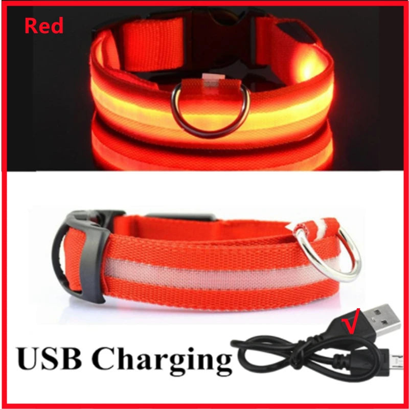 USB Rechargeable LED Glowing Dog Collar for Night Safety