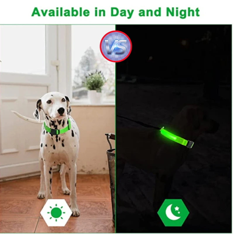 USB Rechargeable LED Glowing Dog Collar for Night Safety