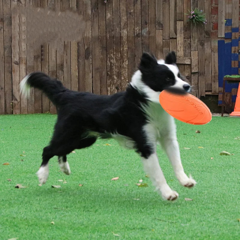 Chew-Resistant Interactive Flying Disc Toy for Dogs & Cats