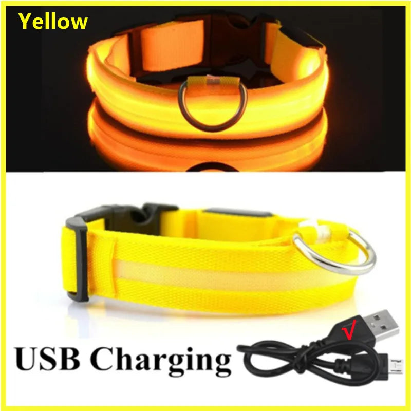 USB Rechargeable LED Glowing Dog Collar for Night Safety