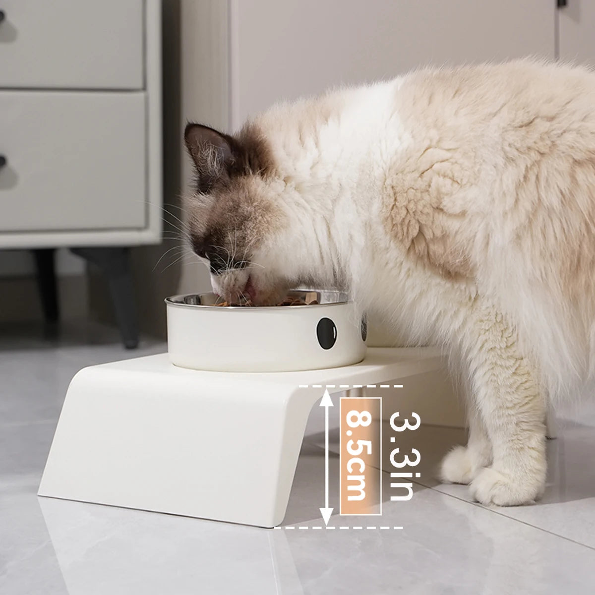 Elevated Double Bowl Feeder Stand for Dogs & Cats