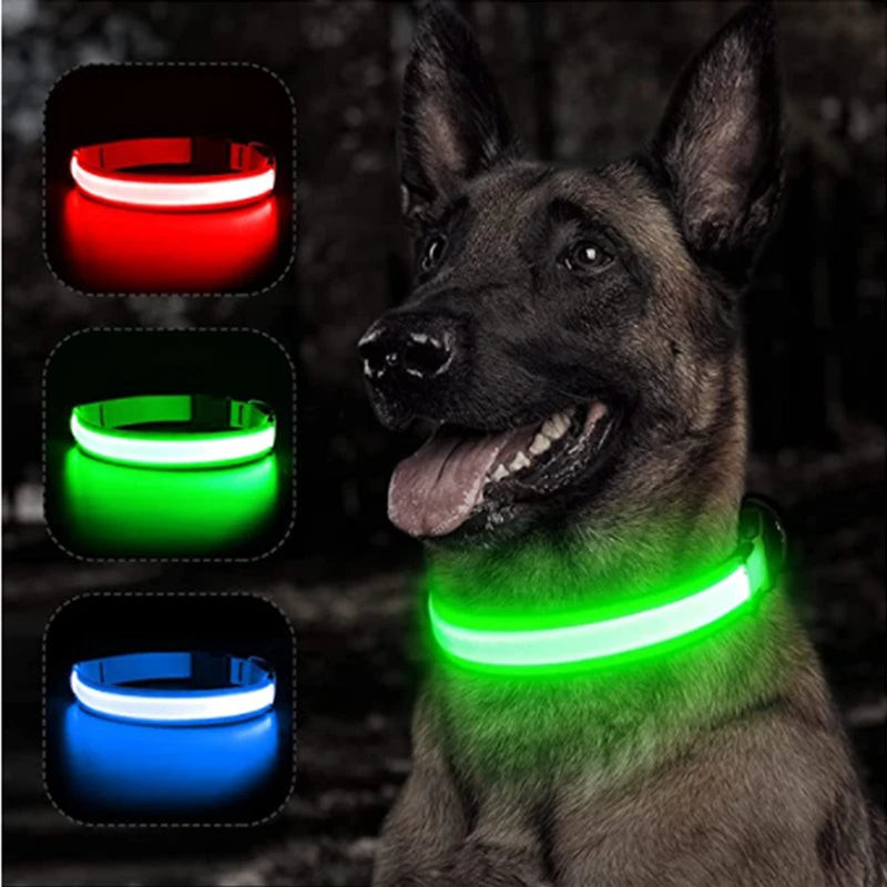 USB Rechargeable LED Glowing Dog Collar for Night Safety