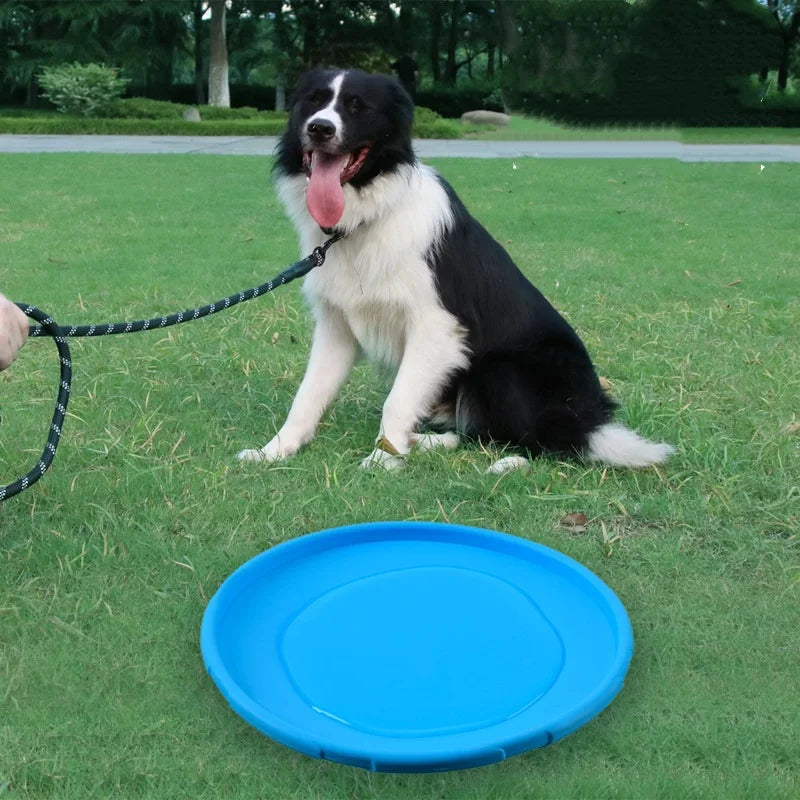 Chew-Resistant Interactive Flying Disc Toy for Dogs & Cats