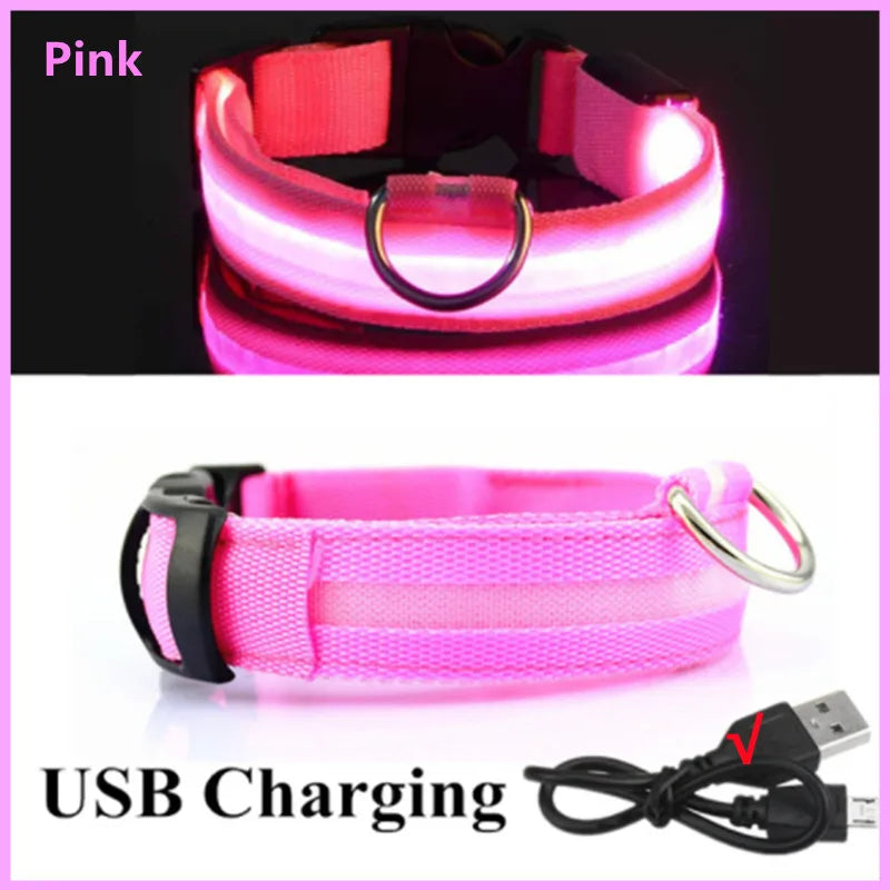 USB Rechargeable LED Glowing Dog Collar for Night Safety