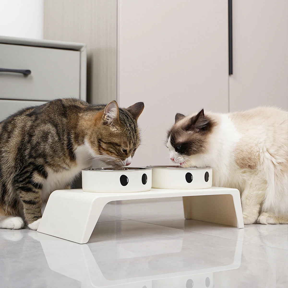 Elevated Double Bowl Feeder Stand for Dogs & Cats