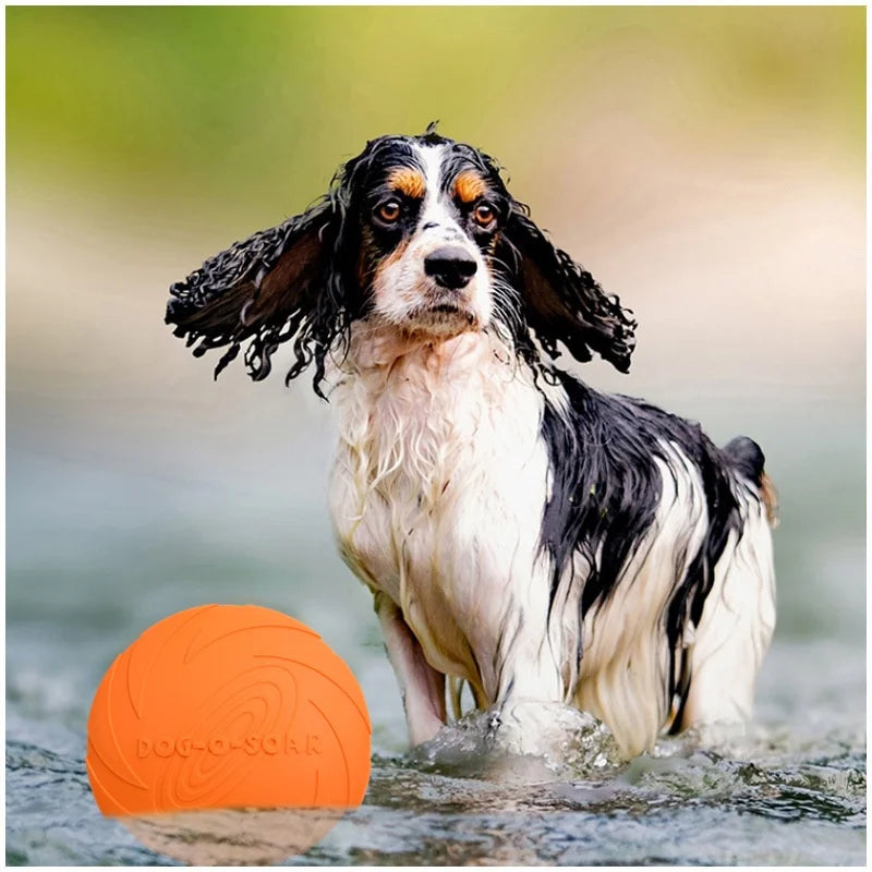 Chew-Resistant Interactive Flying Disc Toy for Dogs & Cats