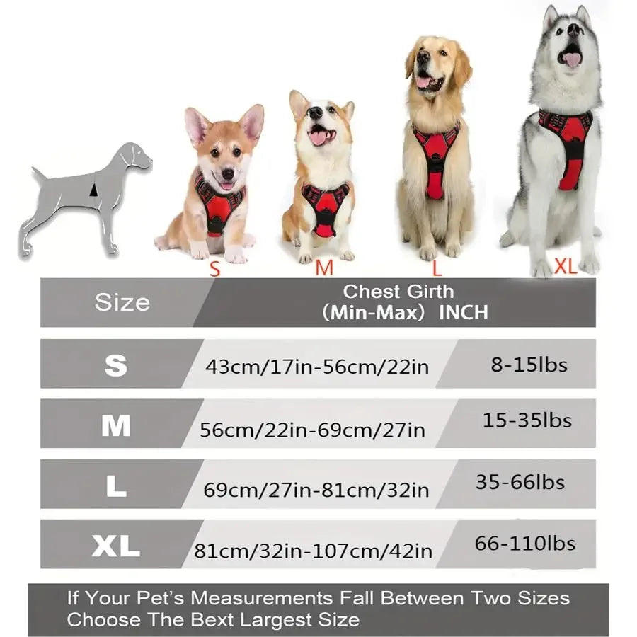 Complete Leather Dog Harness, Collar & Leash Set