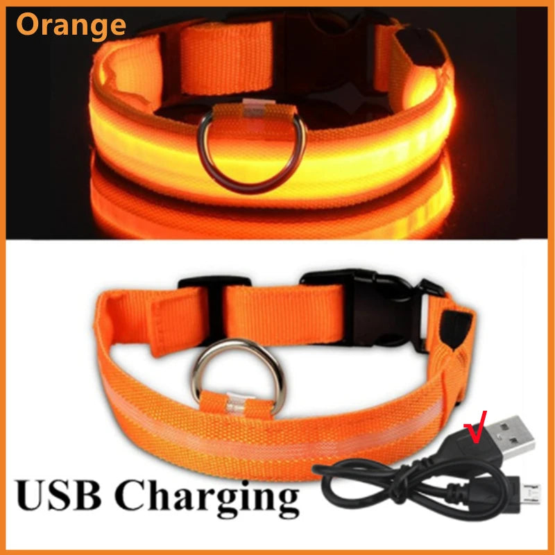 USB Rechargeable LED Glowing Dog Collar for Night Safety