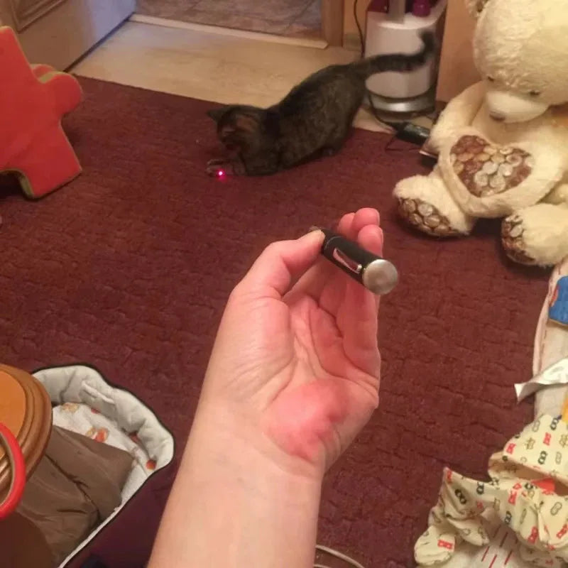 2-in-1 Interactive Laser Pointer & LED Flashlight Cat Toy