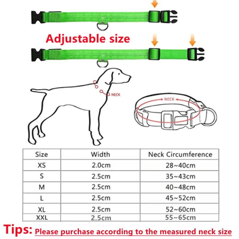 USB Rechargeable LED Glowing Dog Collar for Night Safety