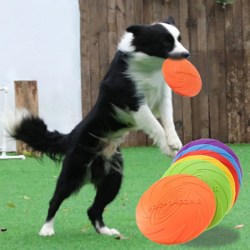 Chew-Resistant Interactive Flying Disc Toy for Dogs & Cats