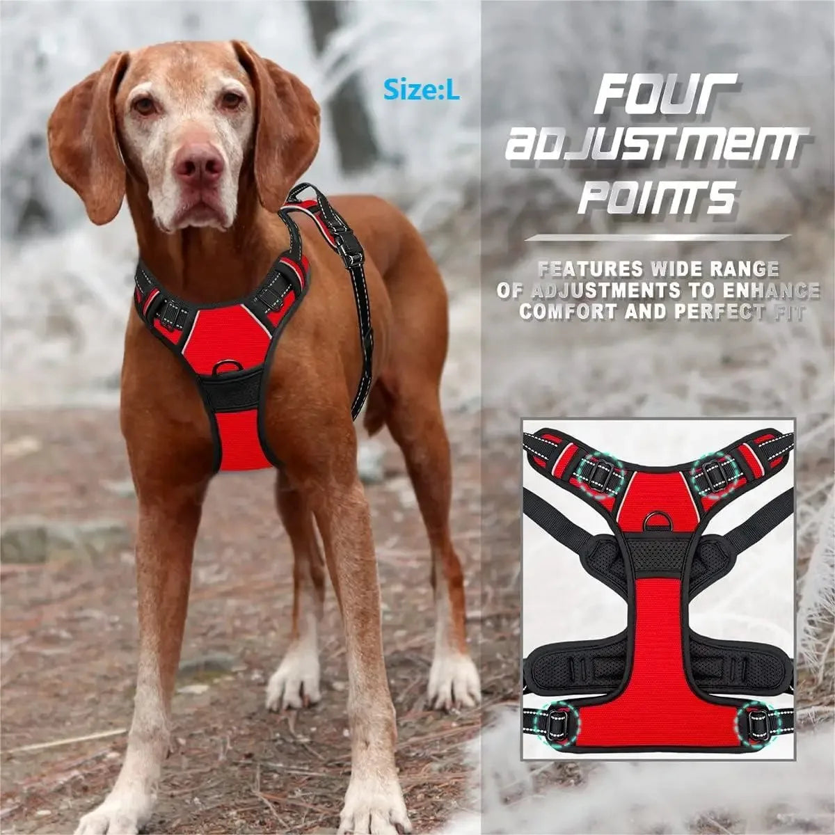 Complete Leather Dog Harness, Collar & Leash Set