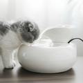 Cat drinking from the ceramic fountain