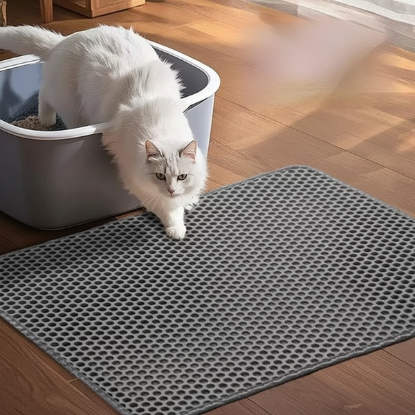Cat stepping off the litter mat